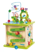 Hape E8341 learning toy