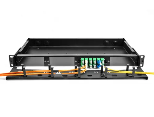 Delock 48.30cm 19"" LWL Rangierpanel 1 HE schwarz