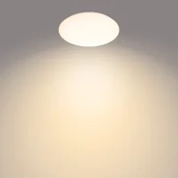 Philips Functional Moire Ceiling Light 20 W