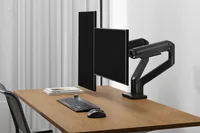 DIGITUS TIS 45"" 2TFT 2Gelenke Feder schwarz Max.2x20KG