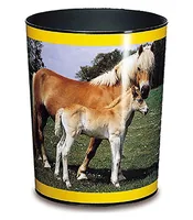 Laufer 26557 trash can 13 L Round Plastic Multicolour