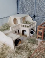 Resch Meerschweinchenschloss, 55 x 33 x 39 cm - Nagetierart: Zwergkaninchen - Meerschweinchen - Chinchilla - Ratte - Material: Holz - Tierart: Nager