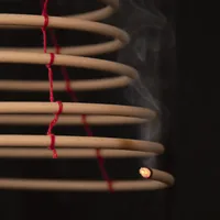 Esschert Design Mückenspirale Citronella Braun - Für Schädling: Mücken - Anwendungsbereich: Outdoor - Produkttyp: Mückenabwehr