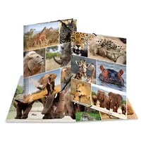 HERMA Gummibandmappe A4 Afrika, Karton, mit Innendruck - Typ: Gummibandmappe - Ausstattung: Innendruck - Gummiband - Detailfarbe: Braun - Material: Karton