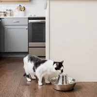 PetSafe Wasserautomat Drinkwell Edelstahl-Trinkbrunnen 360, 3.8 l - Detailfarbe: Silber - Tierart: Katze - Hund - Produkttyp: Wasserautomat