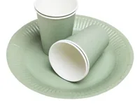 PRONAPPE 79220I disposable dish Plate