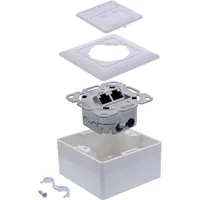 InLine Cat.6A Netzwerkdose - 2x RJ45 - AP/UP - geschirmt - weiß - 76842A