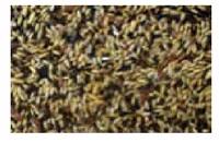 Eric Schweizer Ziervogelfutter Kanarien-Singfutter, 1 kg - Packungsgrösse: 1 kg - Tierart: Ziervogel - Saison: Alljahresfutter - Produkttyp: Hauptfutter