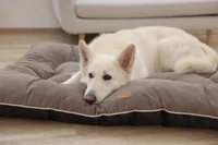 Kerbl 80459 dog / cat bed Pillow pet bed