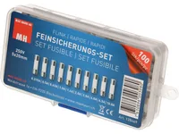 Max Hauri Schmelzsicherung Set 5 x 20 mm Flink, 100 Stück - Nennstrom: 0.5 A - 0.63 A - 4 A - 1.6 A - 2.5 A - 6.3 A - 2 A - 0.315 A - 1 A - 10 A - Typ: Feinsicherung - Bauart: Klar - Auslösecharakteristik: Flink (F)
