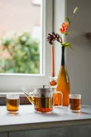 Bredemeijer Teekanne San Remo 1,0l doppelwandiges Glas  165024