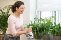 Birchmeier Horselution / 360° Hand garden sprayer 0.5 L