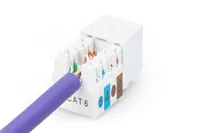 DIGITUS CAT 6 KEYSTONE JACK UNSHIELDED RJ45 TO LSAACK
