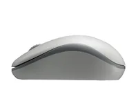 Rapoo M10 Plus souris Bureau Ambidextre RF sans fil Optique 1000 DPI