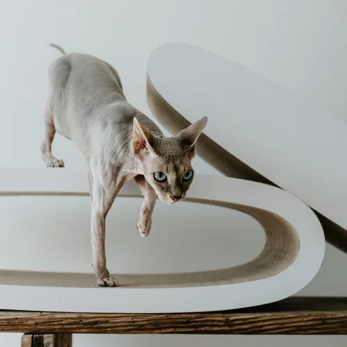 District 70 Kratzmöbel Oval Office - Höhe: 24 cm - Anzahl Liegeplätze: 1 × - Detailfarbe: Hellbraun - Tierart: Katze - Produkttyp: Katzenmöbel