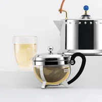 Bodum CHAMBORD tea maker 0.5 L Black, Stainless steel, Transparent