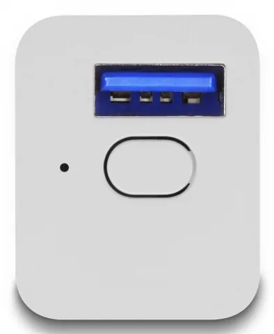 DELOCK WLAN EASY-USB Smart Life Schalter