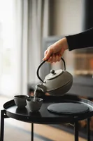 Bredemeijer Teekanne Jang   1,1l Gusseisen grau + Filter   153019