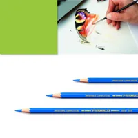 CARAN D'ACHE Farbstifte Prismalo 3mm 999.230 gelbgrün