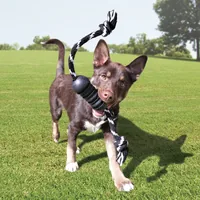 Kong Extreme Dental mit Seil schwarz, Ø 5 cm, H 12 cm - Produkttyp: Spielzeug - Tierart: Hund