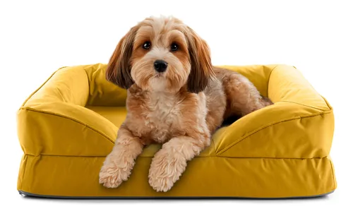 Lumaland Hundebett In-& Outdoor S Senfgelb - Tierart: Hund - Detailfarbe: Gelb - Senfgelb - Breite: 60 cm - Länge: 70 cm - Produkttyp: Bett