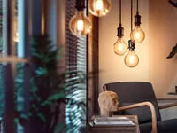 Philips Hue White E27 Einzelpack Globe Filament 550 lm - Lampensockel: E27 - Farbtemperatur Kelvin: 2100 K - Aussenanwendung: Nein - Gesamtleistung: 7 W - Lichtfarbe: Warmweiss (WW) - Leuchten Kategorie: Leuchtmittel
