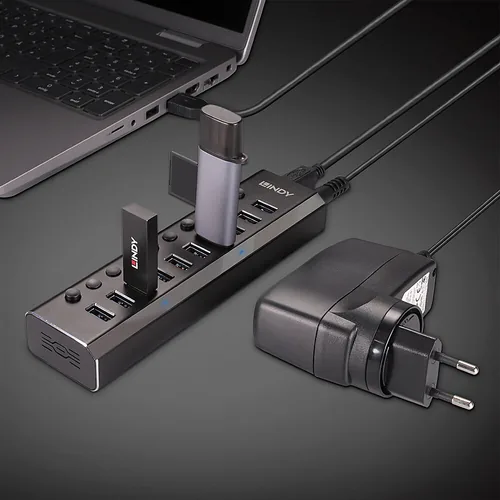 LINDY 10 Port USB 3.0 Hub mit Ein-Ausschaltern