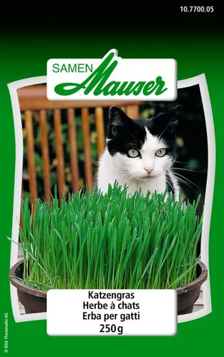 Samen Mauser Samen Katzengras 250g - Aussaatzeit: April - August - Dezember - Februar - Januar - Juli - Juni - Mai - März - November - Oktober - September - Sonneneinstrahlung: Sonnig - halbschattig - Saattyp: Saatgut - Gemüsegruppen: Kräuter - Erntezeit: