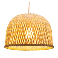 Pauleen 482.01 suspension lighting Surfaced E27 20 W