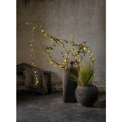 Star Trading Lichterkette Solar Dew Drop Micro, 100 LEDs, 740 cm, Grün - Produkttyp: Lichterkette - Betriebsart: Solarbetrieb - Set-Typ: Starterset - Fernbedienung: Nein - Smart Home: Nicht kompatibel - Lichtfarbe: Warmweiss (WW)