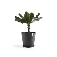 Ecopots Unterteller Rund 50, Dunkelgrau - Detailfarbe: Dunkelgrau - Material: Recycling-Kunststoff