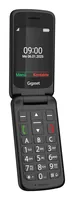 Gigaset GL595 7.11 cm (2.8") 114 g Black Senior phone