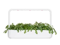 Click and Grow Samen Shungiku 3er-Pack - Bio: Nein - Aussaatzeit: Ganzjährig - Sonneneinstrahlung: Hell und warm - Gemüsegruppen: Kräuter - Saattyp: Saatgut - Erntezeit: Ganzjährig