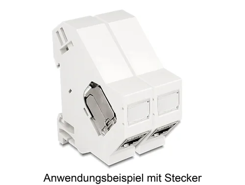 Delock Keystone Halterung für Hutschienen + Erdung