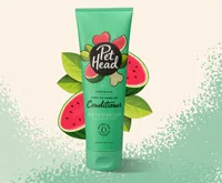 Pet Head Entfilzungsconditioner Furtastic, 250 ml - Produkttyp: Fellreinigung & Pflege - Tierart: Hund