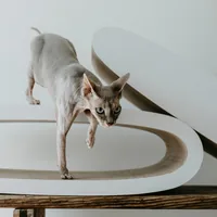 District 70 Kratzmöbel Oval Office - Höhe: 24 cm - Anzahl Liegeplätze: 1 × - Detailfarbe: Hellbraun - Tierart: Katze - Produkttyp: Katzenmöbel