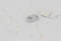 GLOREX 68619926 string light 1.1 m 10 lamp(s) LED