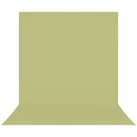 Westcott Hintergrund X-Drop Pro 246 x 400 cm Light Green - 