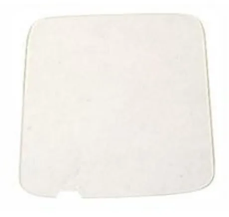 Zebra SG-WS3X-SCRNP5-01 accessoire d’ordinateur mobile portable Protecteur d'écran