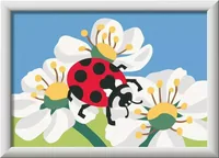 Ravensburger Malen nach Zahlen CreArt Ladybug with flowers - Altersempfehlung ab: 7 Jahren - Motiv: Blume - Marienkäfer