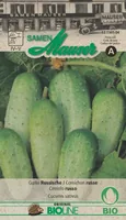 Samen Mauser Samen Gurke Russische - Aussaatzeit: April - Mai - Sonneneinstrahlung: Sonnig - Saattyp: Bioline - Gemüsegruppen: Fruchtgemüse - Erntezeit: August - Juli - Juni - September - Bio Zertifizierung: Knospe Bio