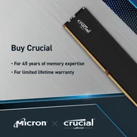 DDR5 48GB PC 5600 CL46 KIT 2x24GB Crucial Pro intern retail