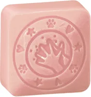 COLOP little NIO Cleany Stamp Leo retail