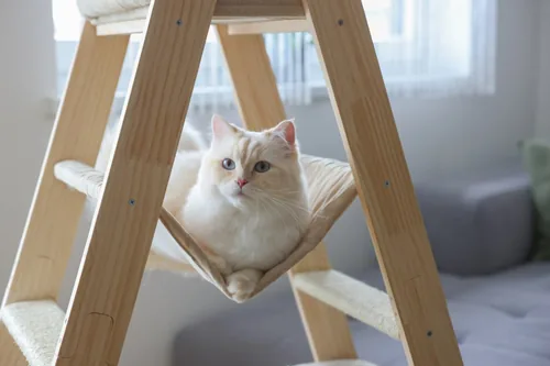 Kerbl Kratzbaum Ladder 97 cm x 39.5 cm x 134 cm - Höhe: 134 cm - Anzahl Liegeplätze: 3 × - Detailfarbe: Beige - Tierart: Katze - Produkttyp: Kletterleiter