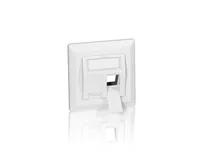 Equip Frontplatte 2xKeystone Jack 45 RAL9010 Polybeutel