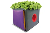 KNAUDER'S BEST Hunde-Spielzeug Sniffbox - Produkttyp: Suchspiel - Tierart: Hund