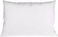 PAD 54600 bed pillow Rectangular 40 x 60 cm Feathers White