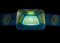 TIKKID, LED-Leuchte
