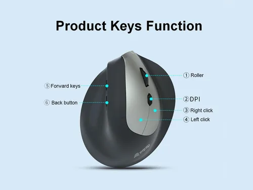 Equip Ergonomische Maus DM 2.4GHzBT 6Button Rechts schwarz