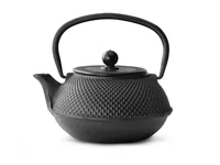 Bredemeijer Teekanne Jang   0,8l Gusseisen schwarz + Filter G001Z